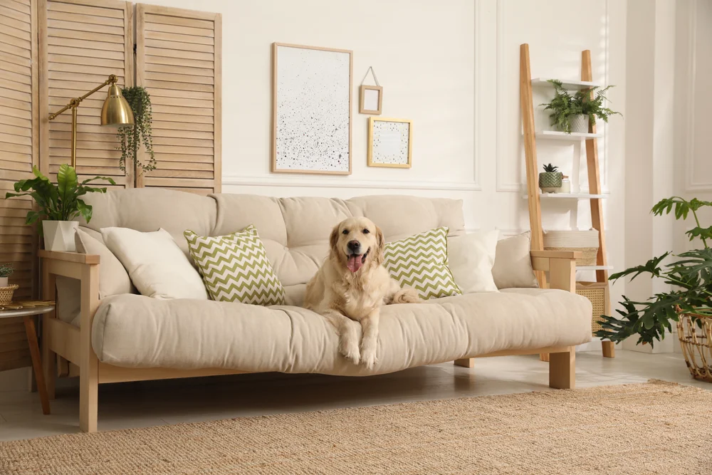 Selling Your Home When You Have Pets