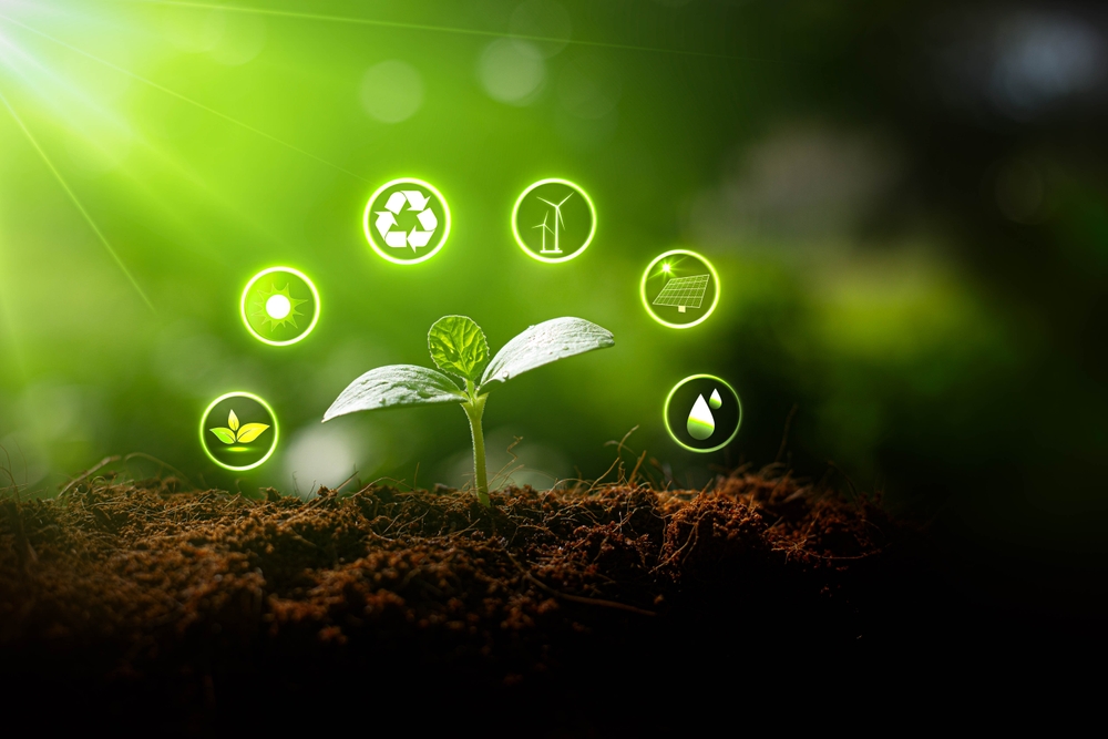MB Associates launches tree-planting initiative with Feefo’s Sustainability feature